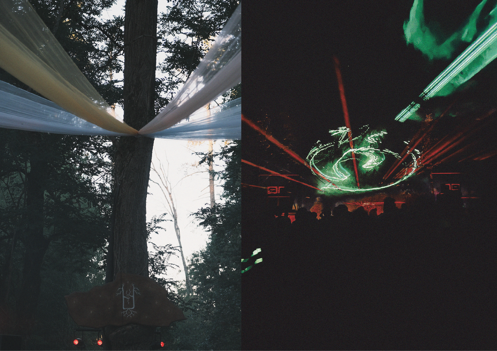 2025 Edition Photo 4