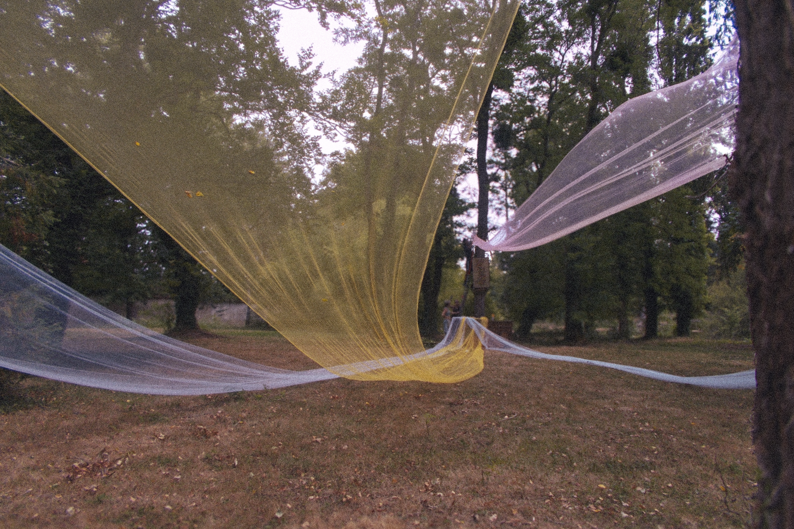 2025 Edition Photo 9